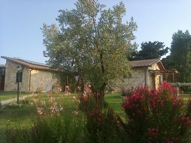Casale Dinelli Villa Tarquinia Dış mekan fotoğraf