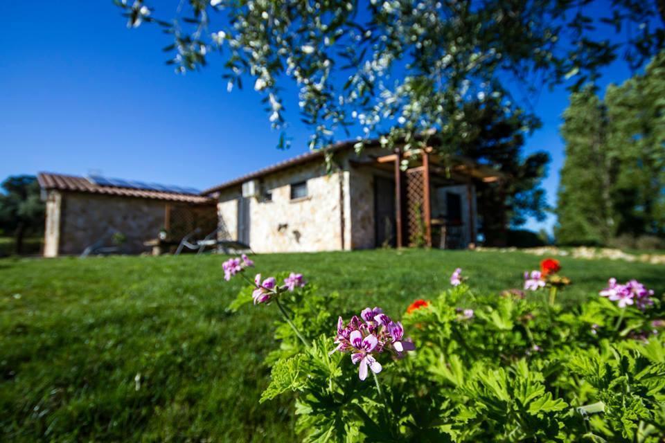 Casale Dinelli Villa Tarquinia Dış mekan fotoğraf
