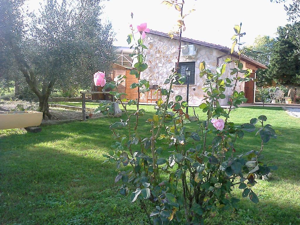 Casale Dinelli Villa Tarquinia Oda fotoğraf