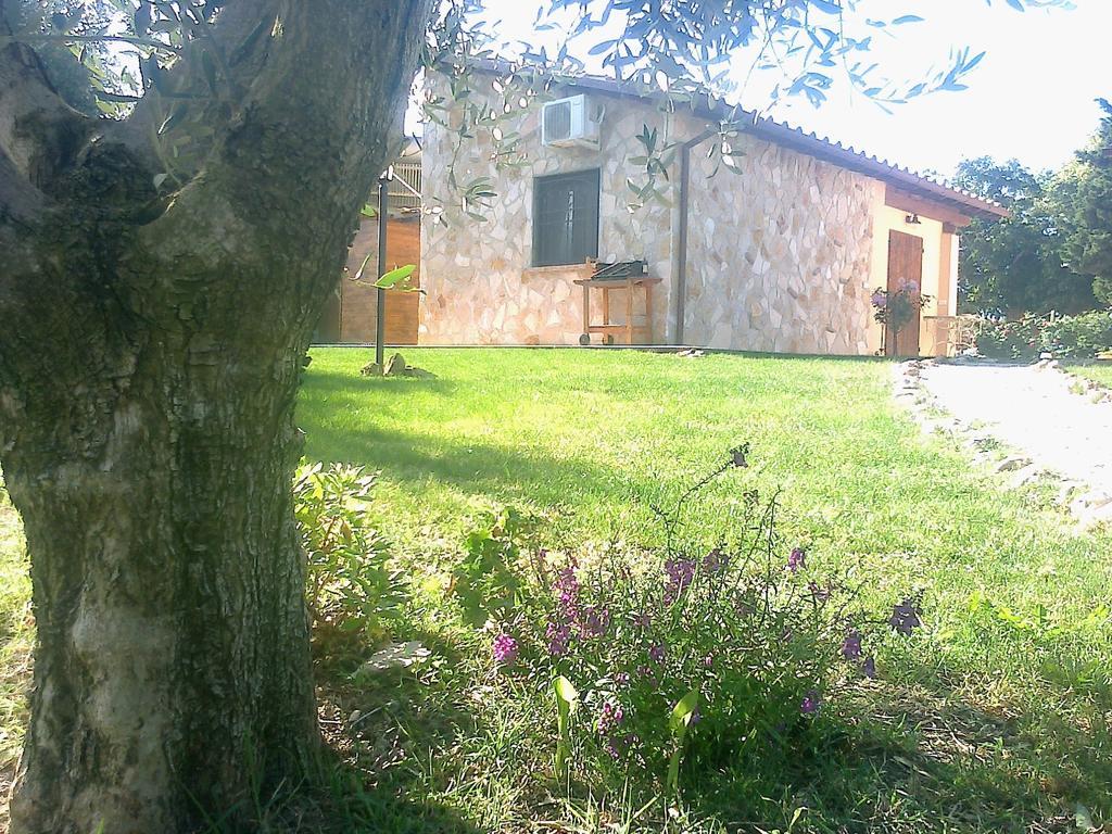 Casale Dinelli Villa Tarquinia Oda fotoğraf