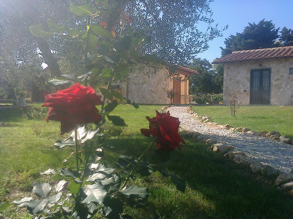 Casale Dinelli Villa Tarquinia Oda fotoğraf