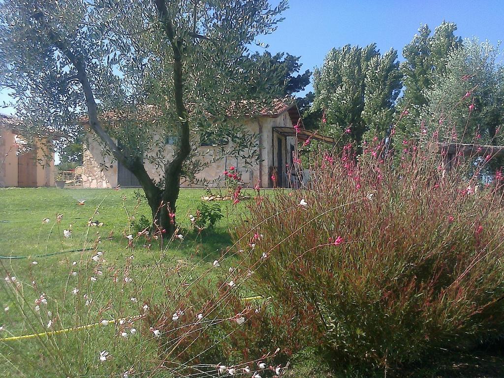 Casale Dinelli Villa Tarquinia Oda fotoğraf